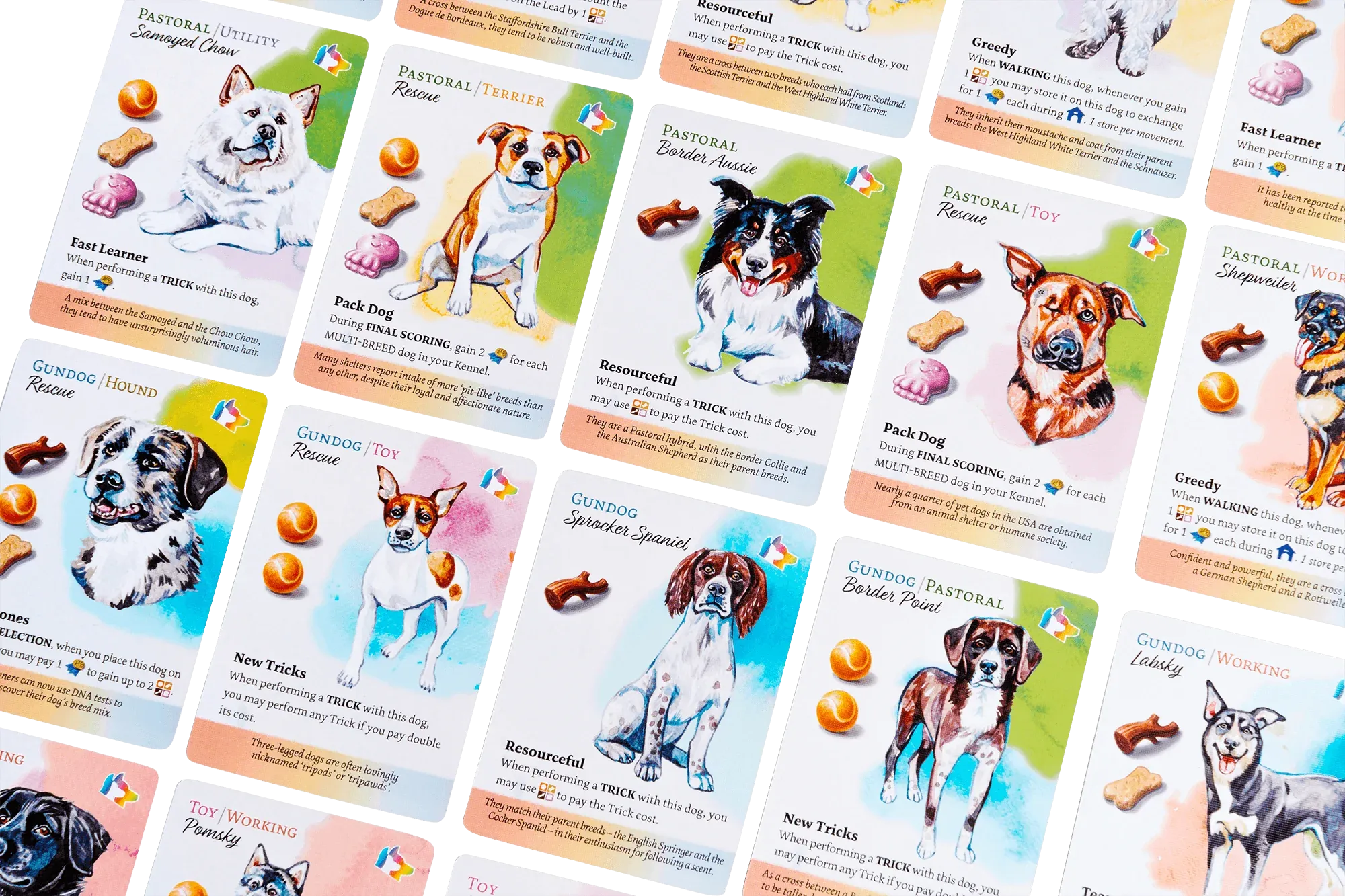Dog Park: New Tricks Expansion W/ Collectors Upgrade and KS Pack (Kickstarter)