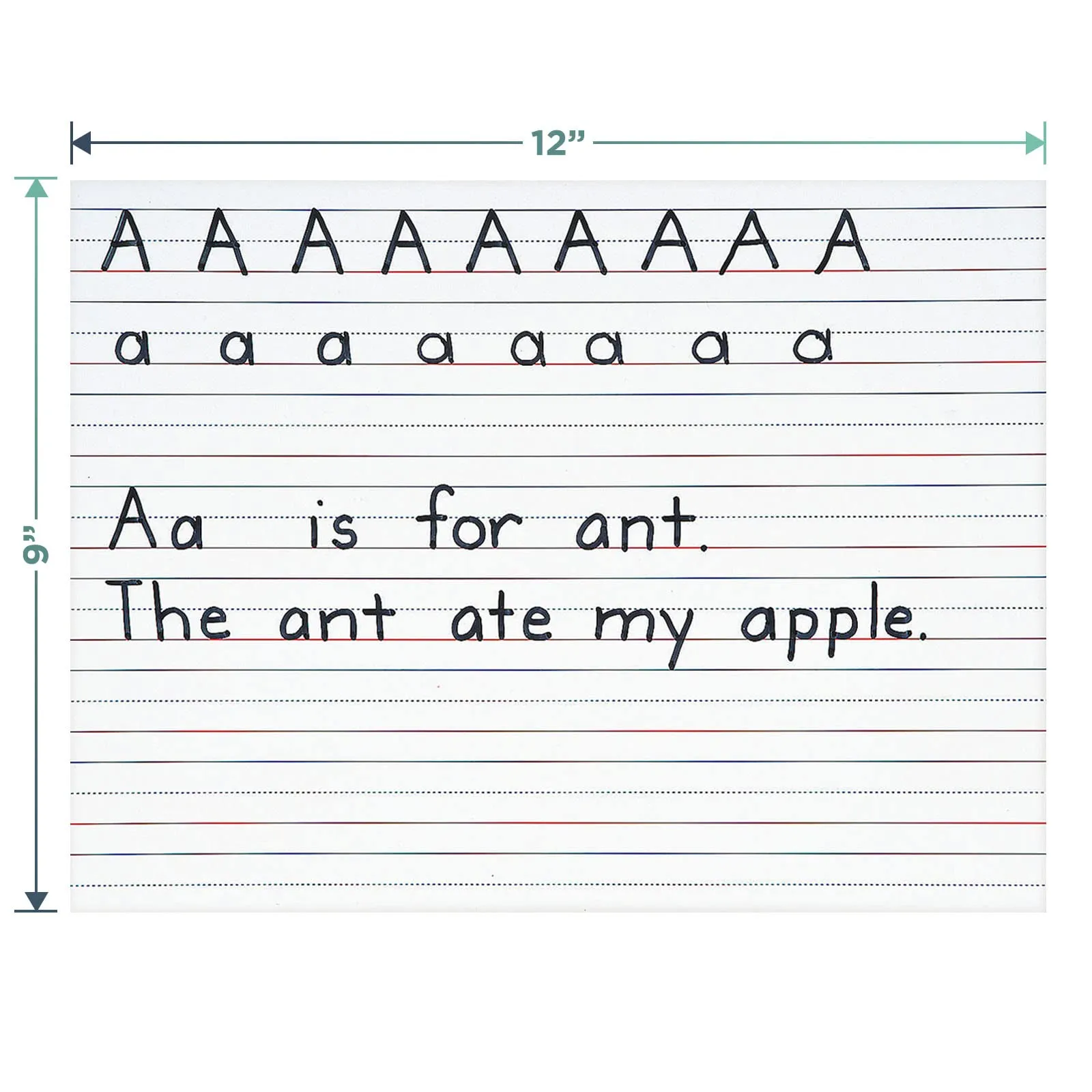 Lined Whiteboards and Dry Erase Markers - Teachers and Students Handrwiting Practice Boards (Set of 4)